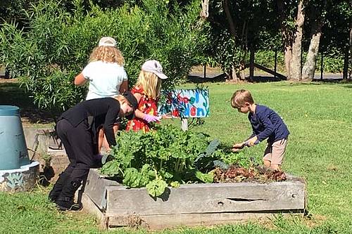 gardening