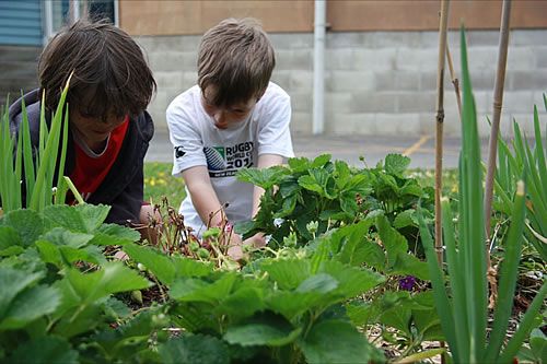 gardening